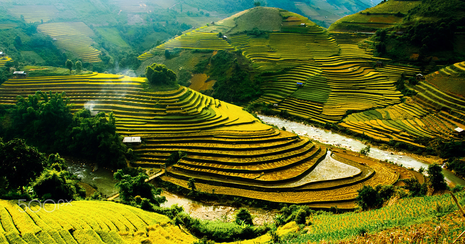Nikon D2Xs sample photo. Rice fields on terrace in vietnam. photography