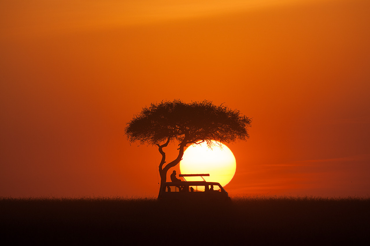 Canon EOS-1Ds Mark III + Canon EF 600mm f/4L IS sample photo. Sunset in masai mara photography