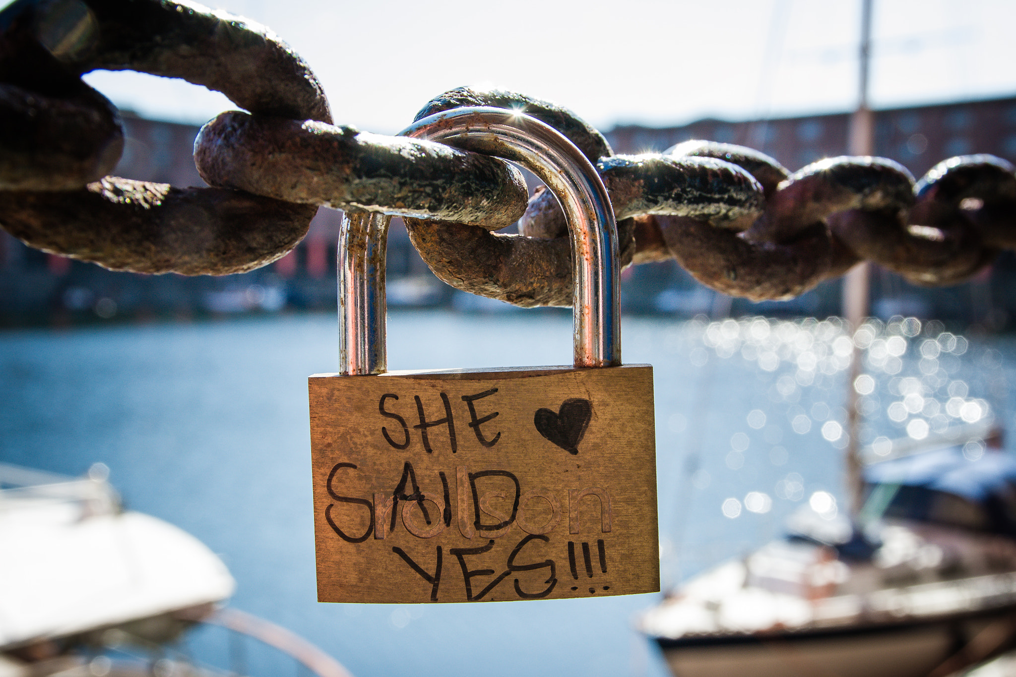 Sigma 17-70mm F2.8-4 DC Macro OS HSM | C sample photo. She said yes... photography