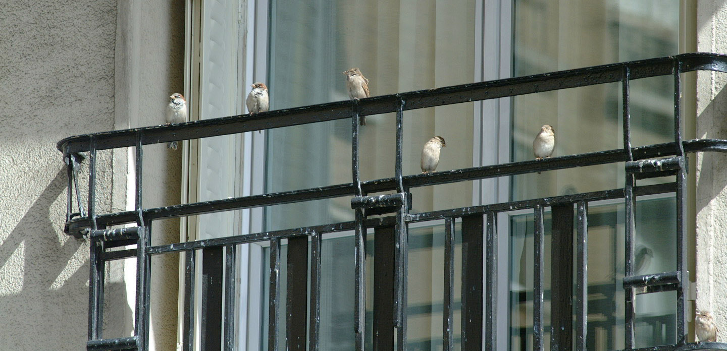 Fujifilm FinePix S1 Pro sample photo. Balcony photography