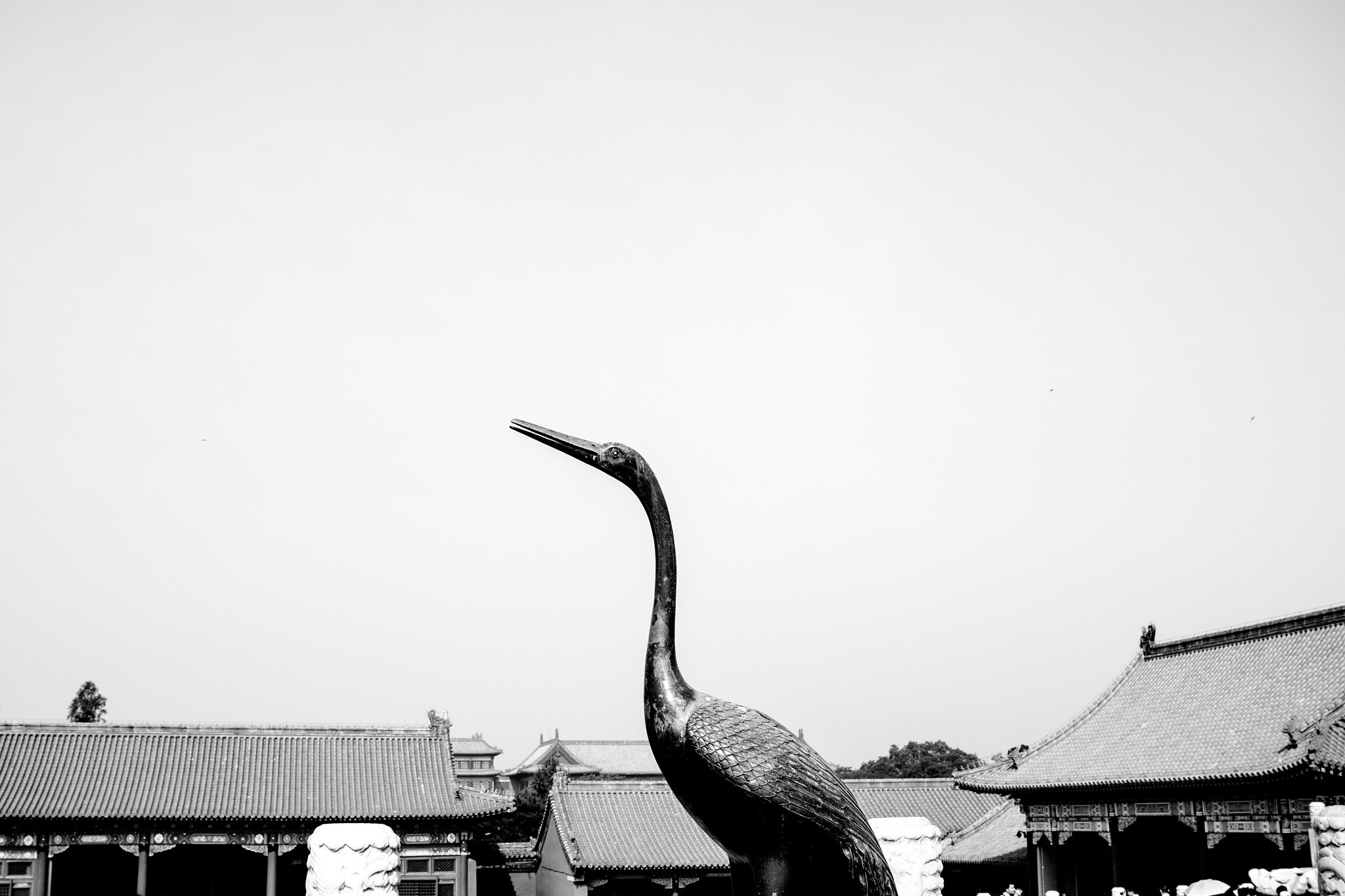 Canon EF-S 24mm F2.8 STM sample photo. In the palace museum photography