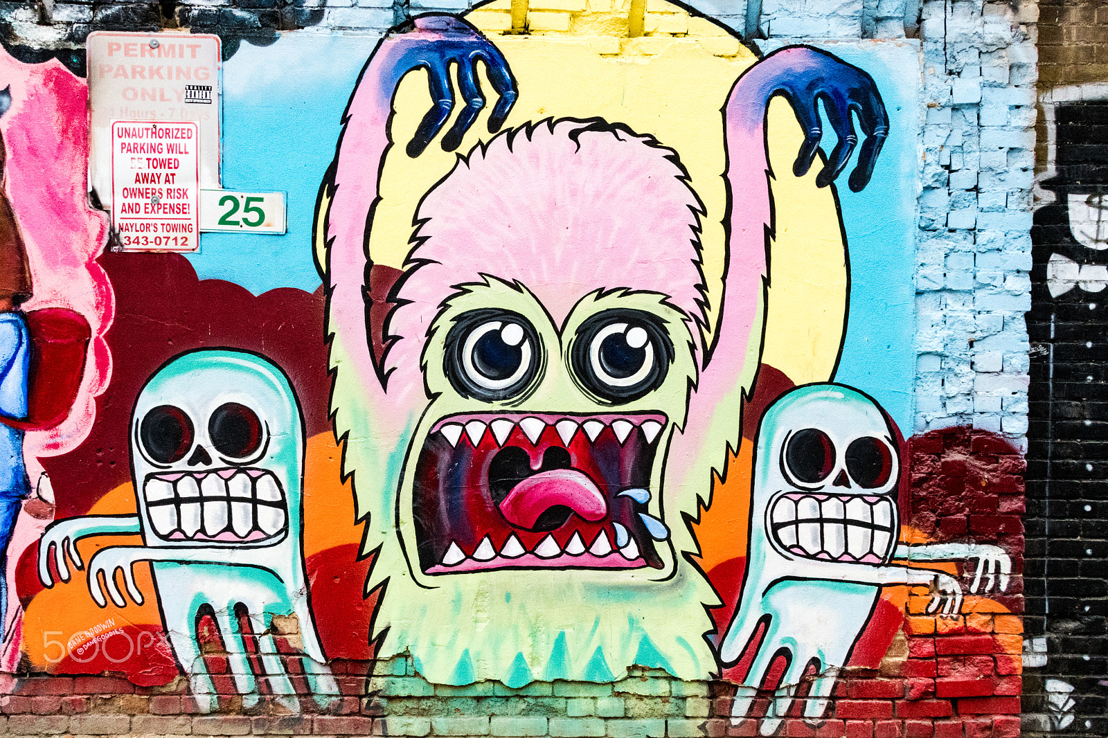 Nikon D500 sample photo. Freak alley gallery photography