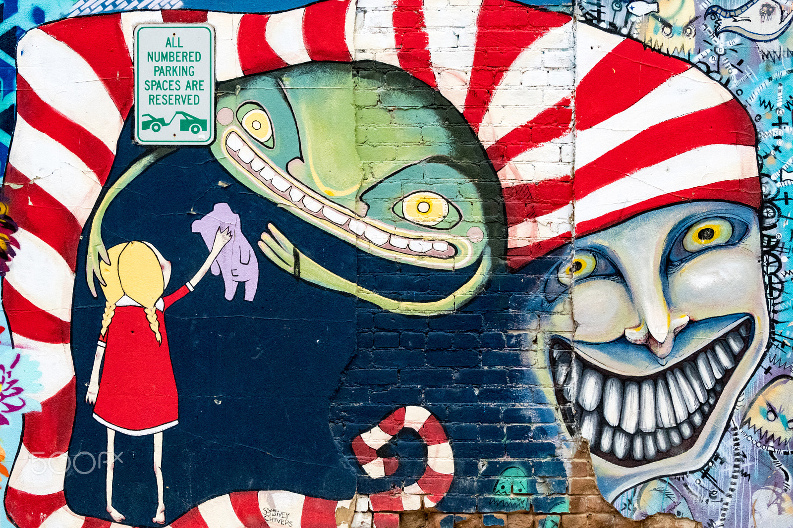 Nikon D500 sample photo. Freak alley gallery photography
