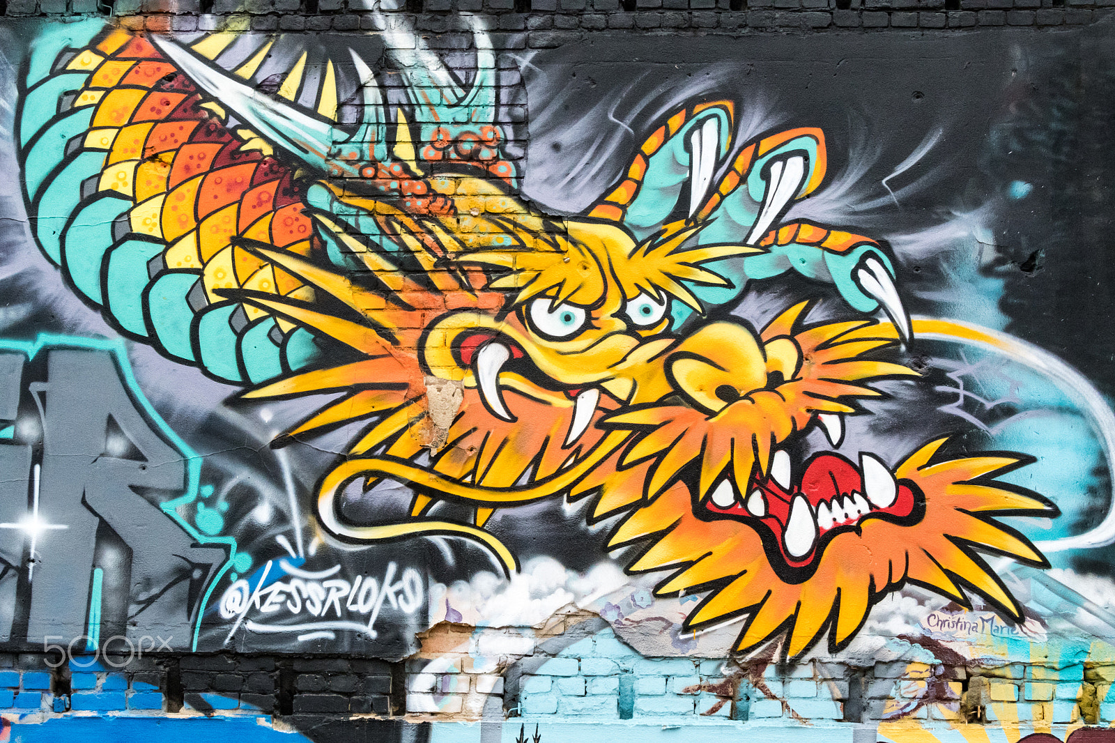 Nikon D500 sample photo. Freak alley gallery photography