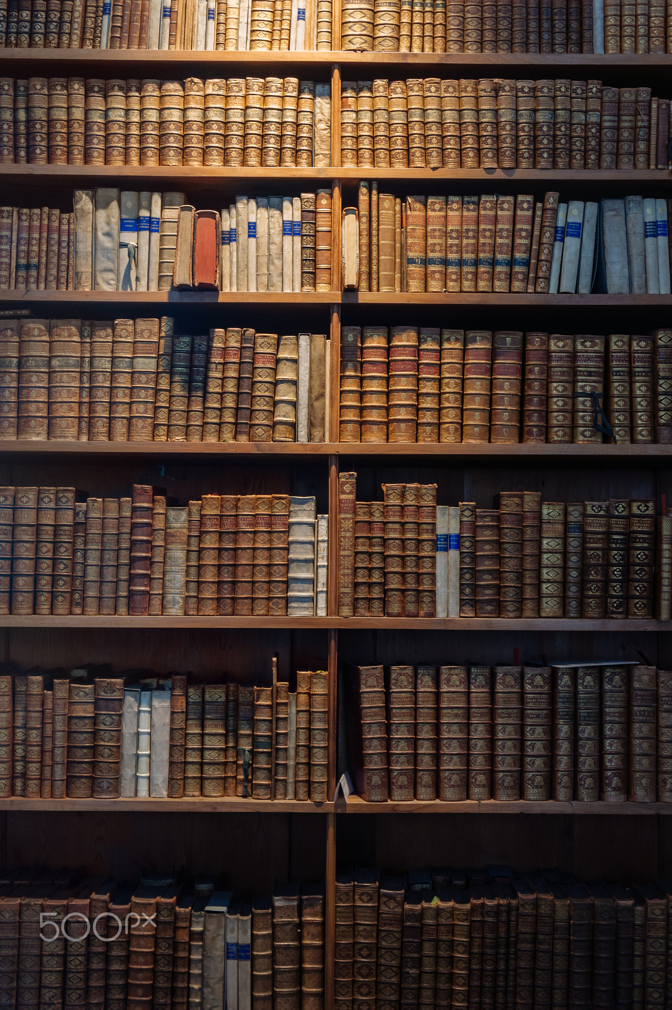 Wooden cabinet fool of ancient dusty books