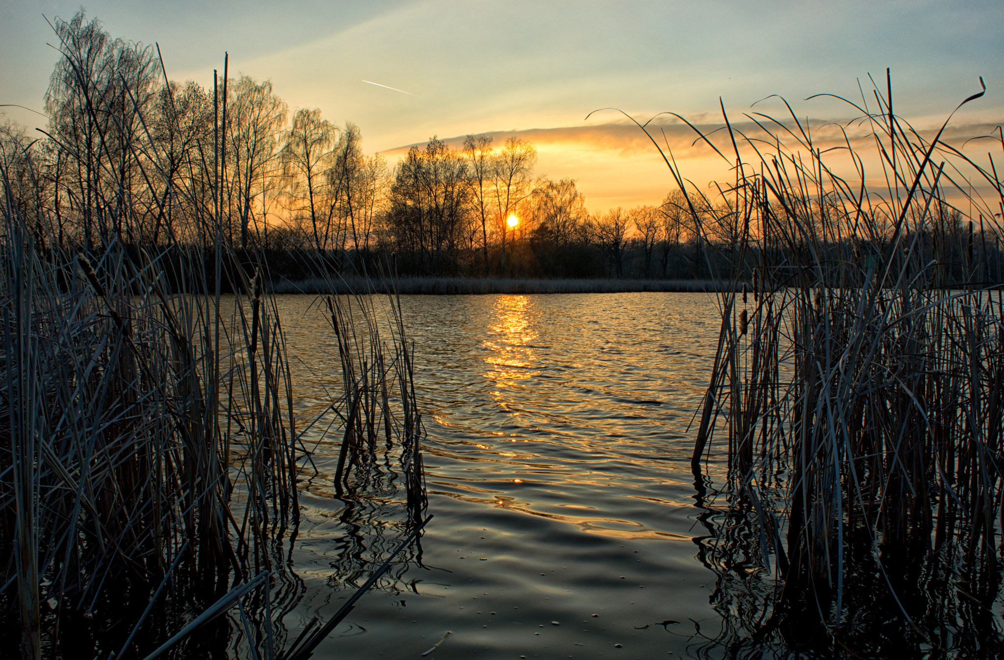 Nikon D3200 + 18.00 - 55.00 mm f/3.5 - 5.6 sample photo. Sunset of reeds photography