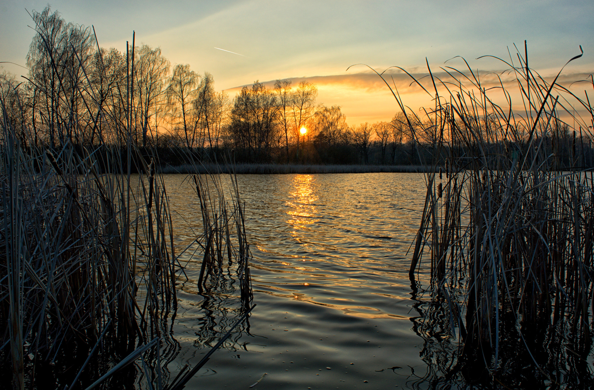 18.00 - 55.00 mm f/3.5 - 5.6 sample photo. Sunset of reeds photography