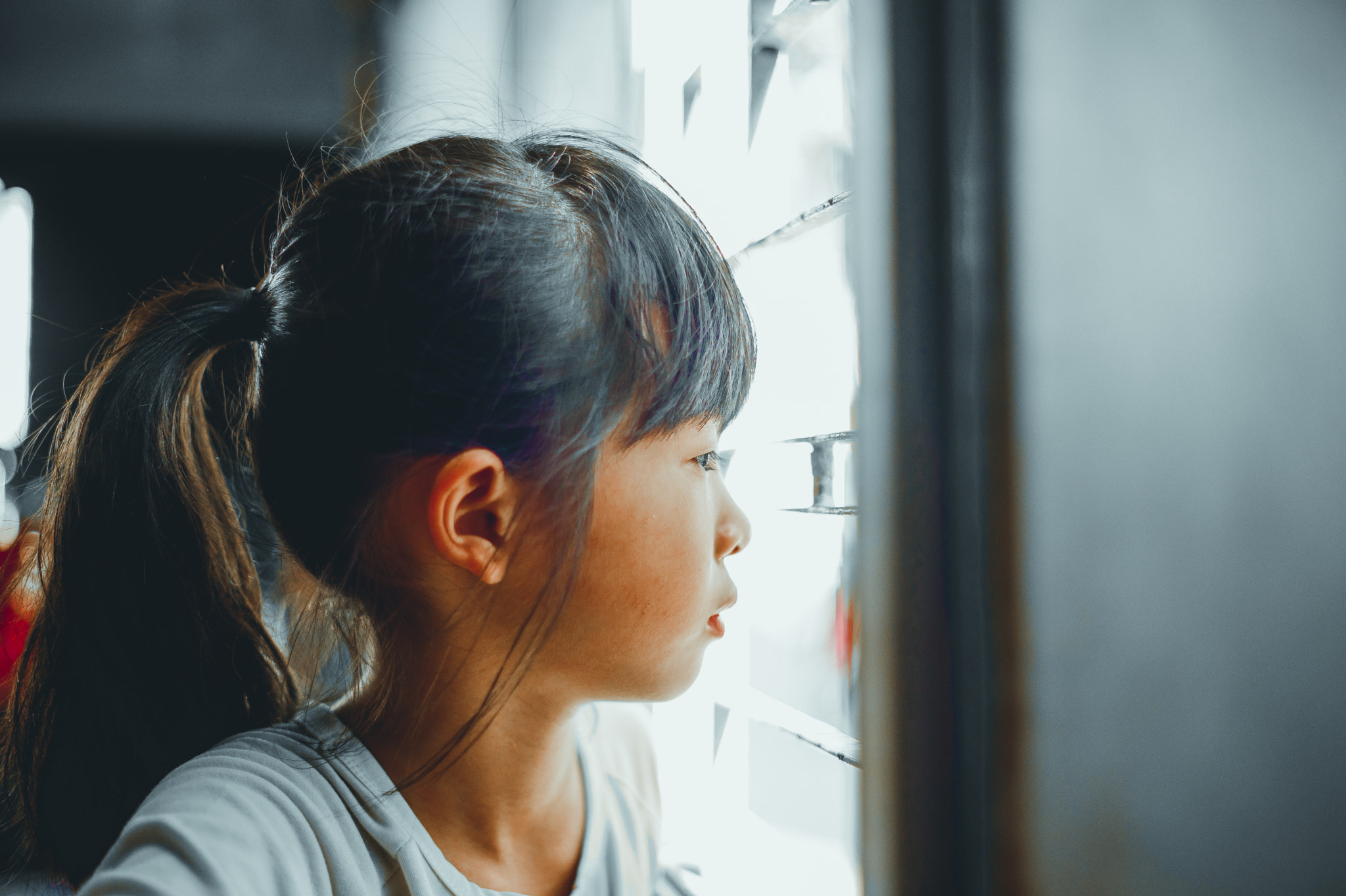 Minolta AF 50mm F1.7 sample photo. Deep look through the window photography