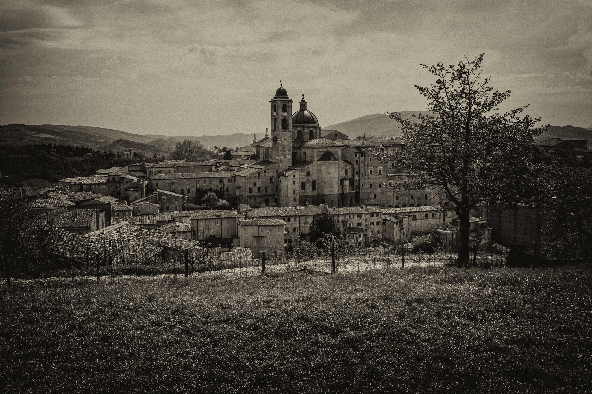 Canon EF-S 10-18mm F4.5–5.6 IS STM sample photo. Urbino photography