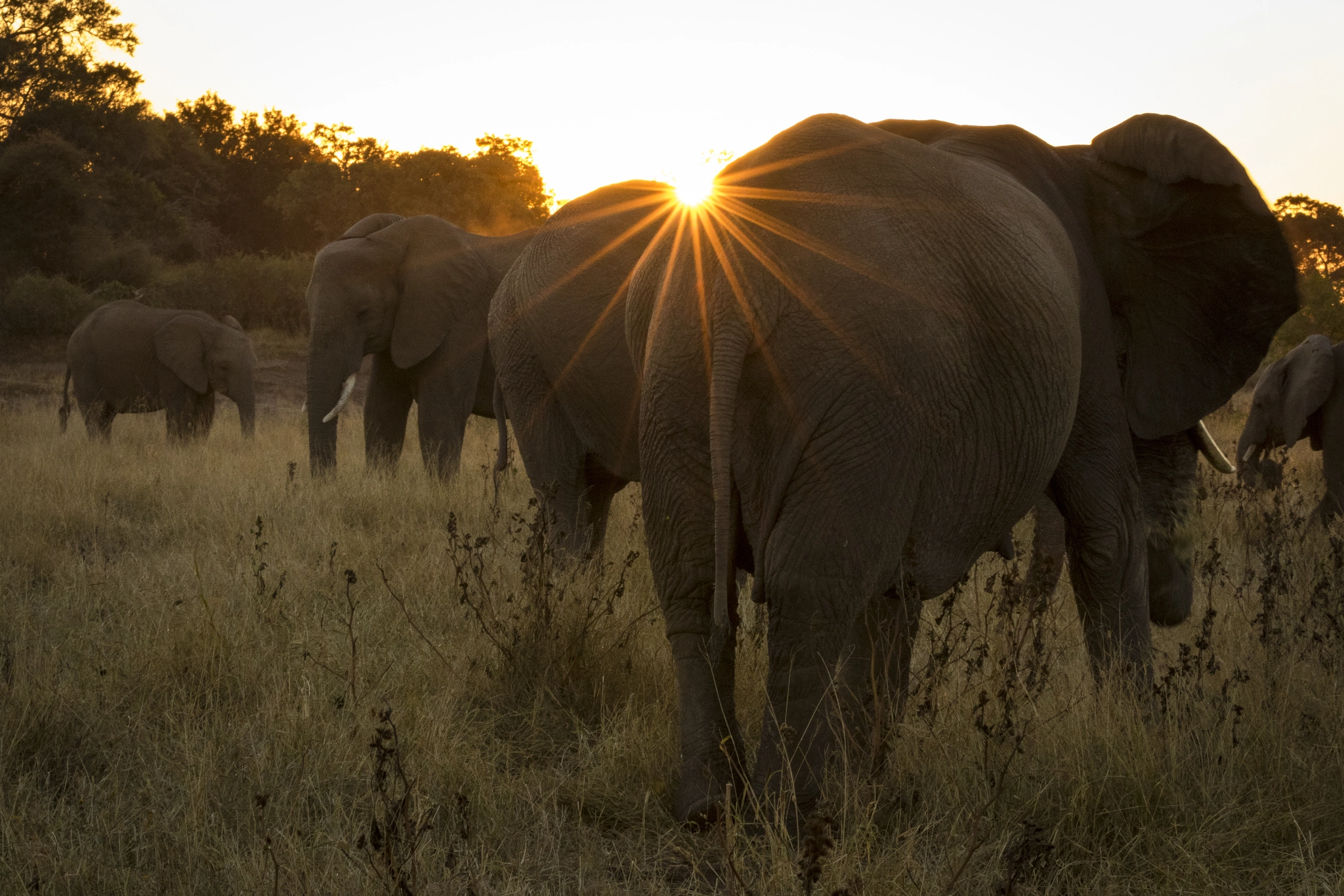 Canon EF 100-400mm F4.5-5.6L IS II USM sample photo. Sunset photography