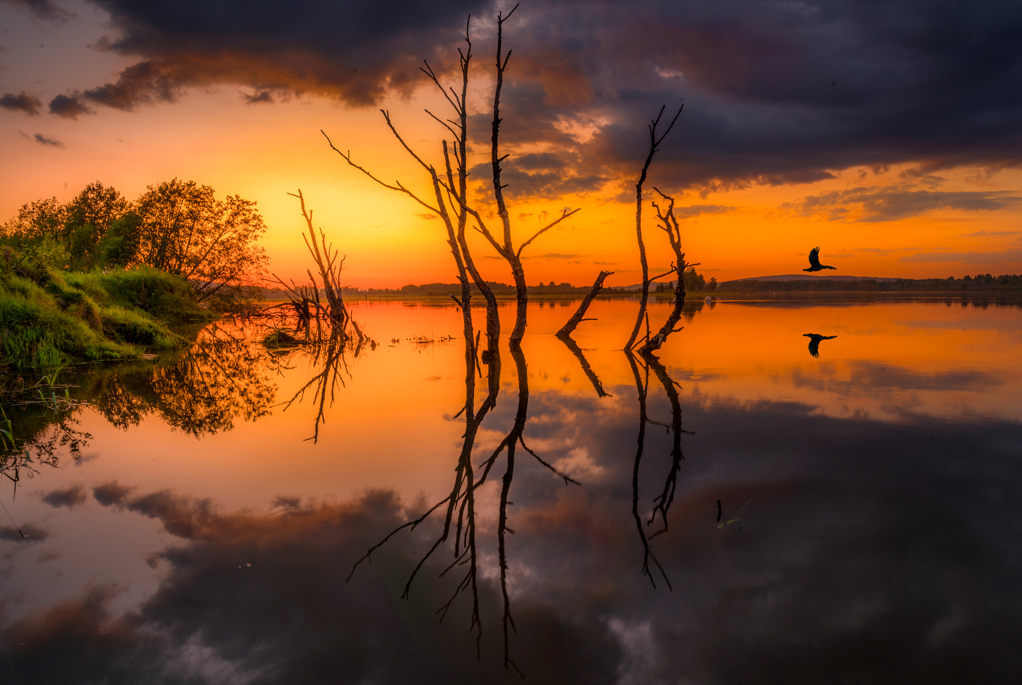 Nikon D3S sample photo. Sunset and flood photography