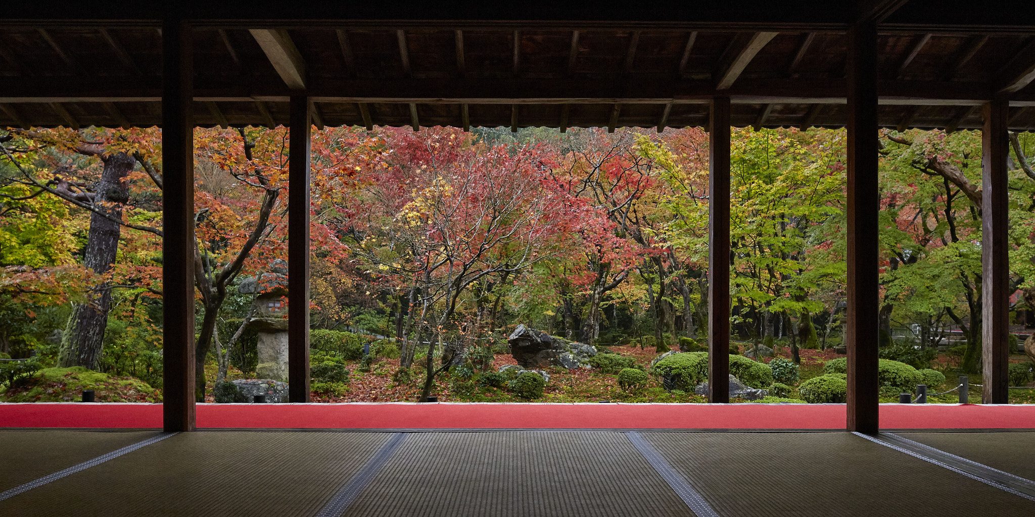 Canon TS-E 24mm F3.5L II Tilt-Shift sample photo. Autumn of kyoto,japan photography