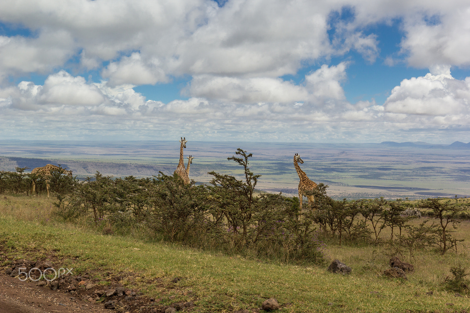 Canon EOS 60D + Canon EF 16-35mm F4L IS USM sample photo. At the lookout photography