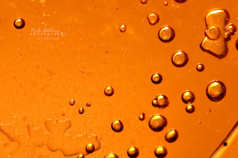 Canon EOS 40D + Canon EF 100mm F2.8 Macro USM sample photo. Orange burst photography