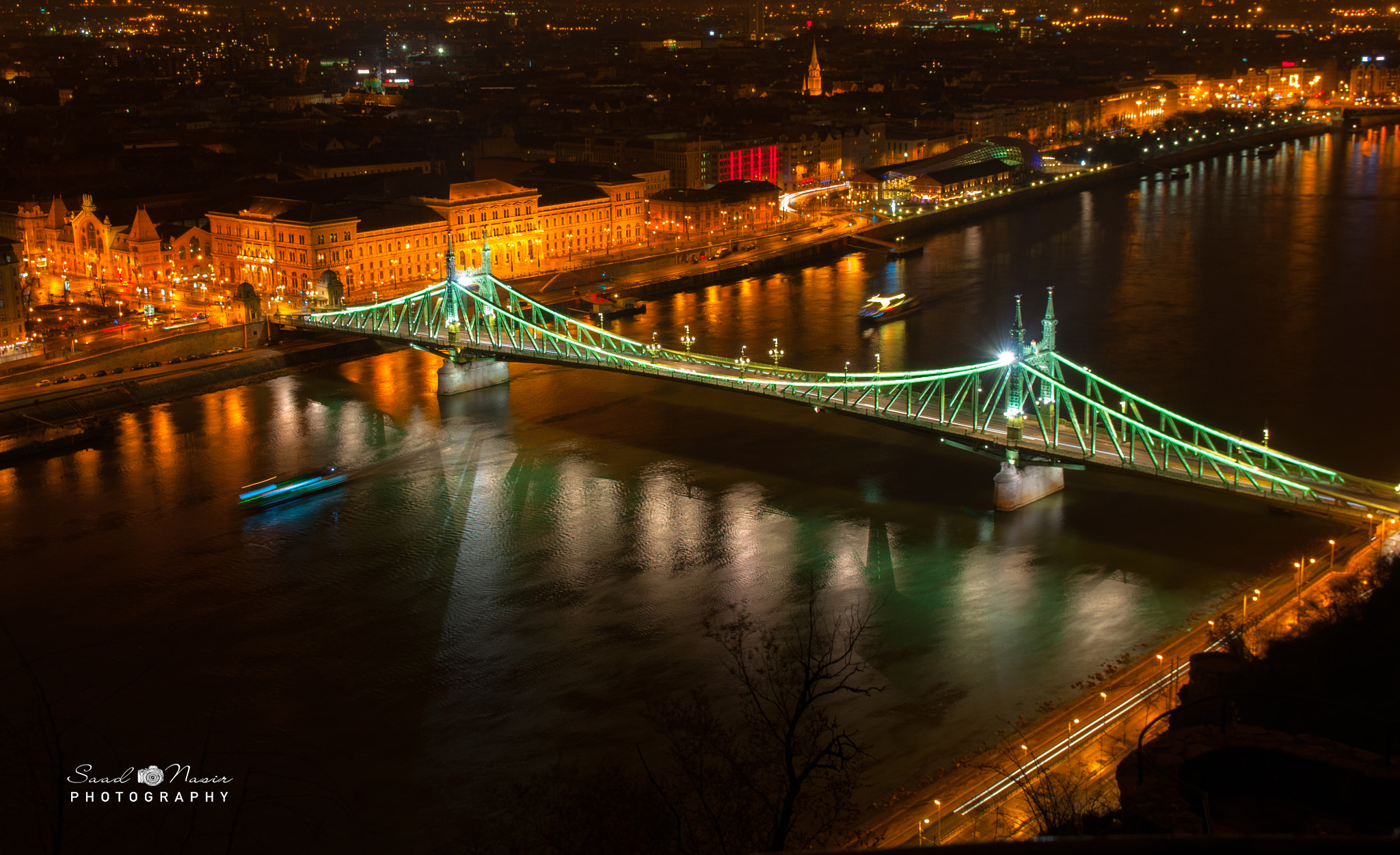 Sigma 17-50mm F2.8 EX DC OS HSM sample photo. Liberty bridge budapest photography