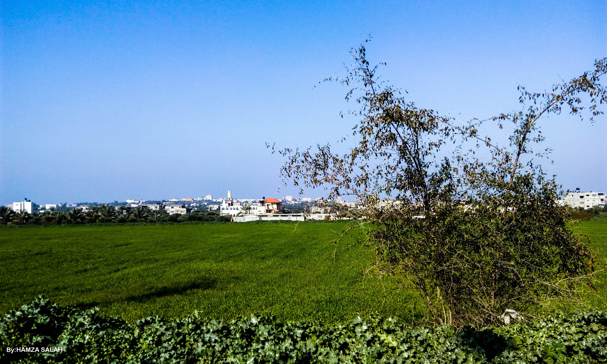 HTC DESIRE 816G DUAL SIM sample photo. Countryside gaza photography