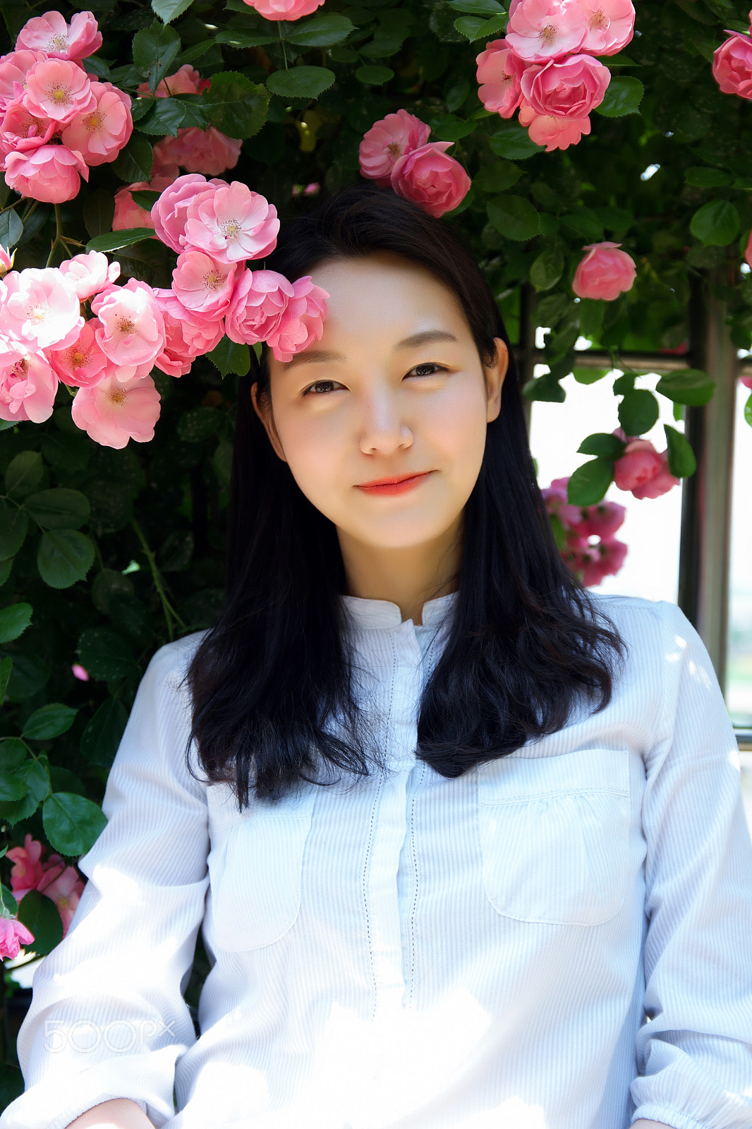 Saumsun NX 16-50mm F2-2.8 S ED OIS sample photo. 2016's seoul roses festival. photography