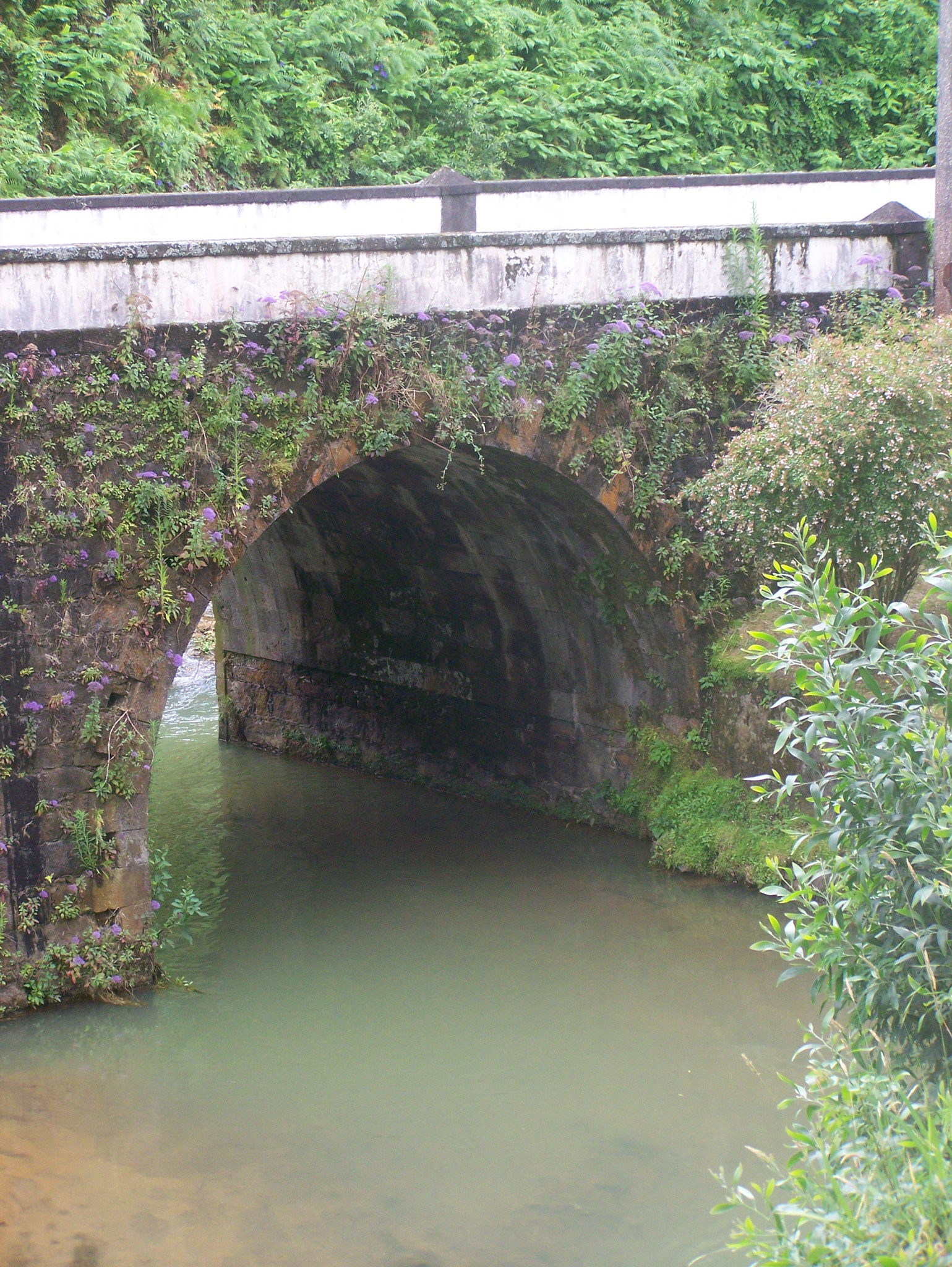 Kodak Z650 ZOOM DIGITAL CAMERA sample photo. Hot water river photography