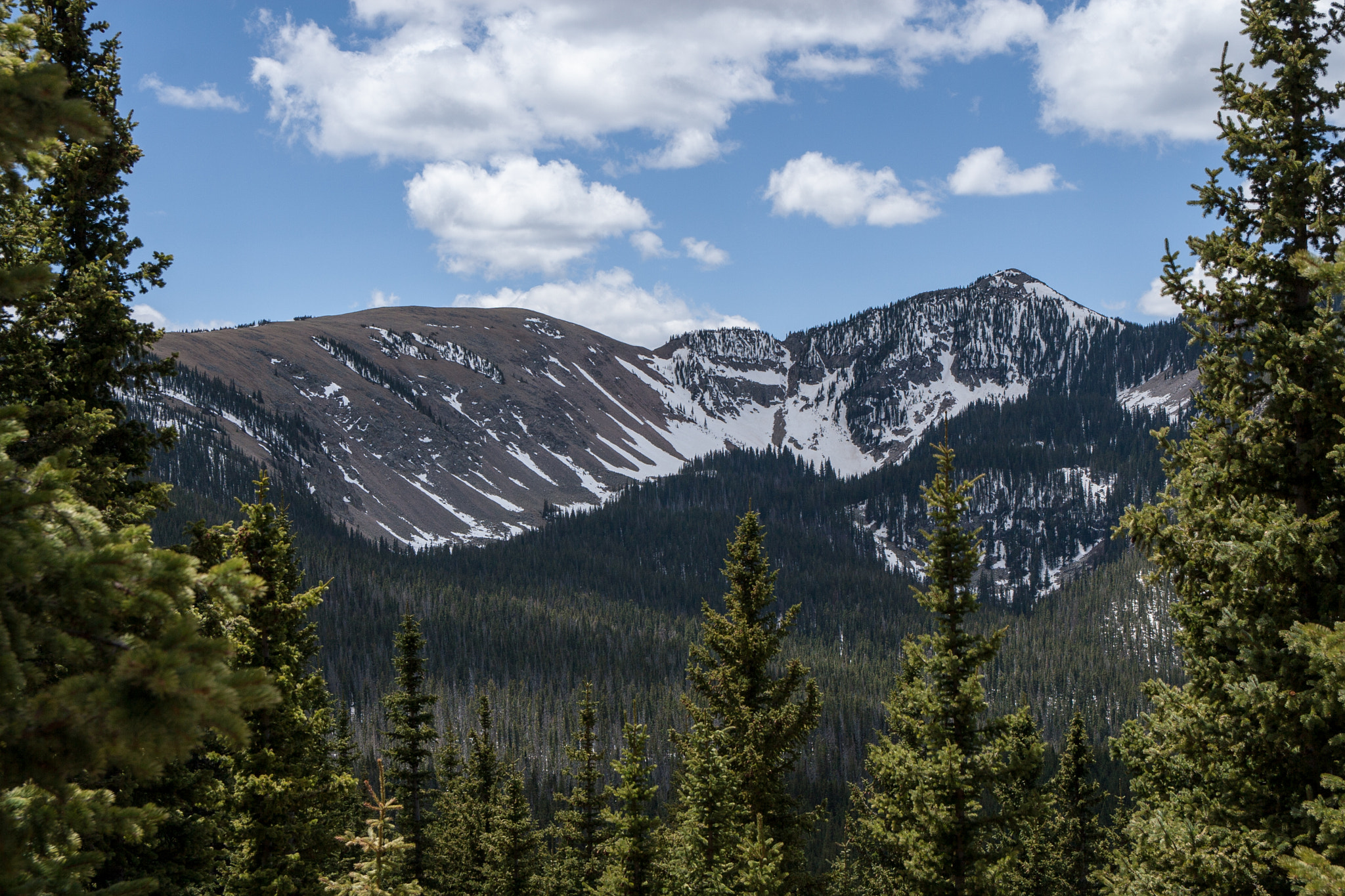 Canon EOS 30D sample photo. Looking across to lake peak of the sangre de cristo mountains. elevation, 12,409' photography