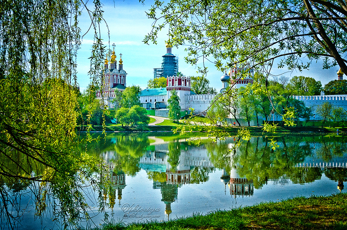 Sony Alpha DSLR-A580 sample photo. Шепот Неба... photography