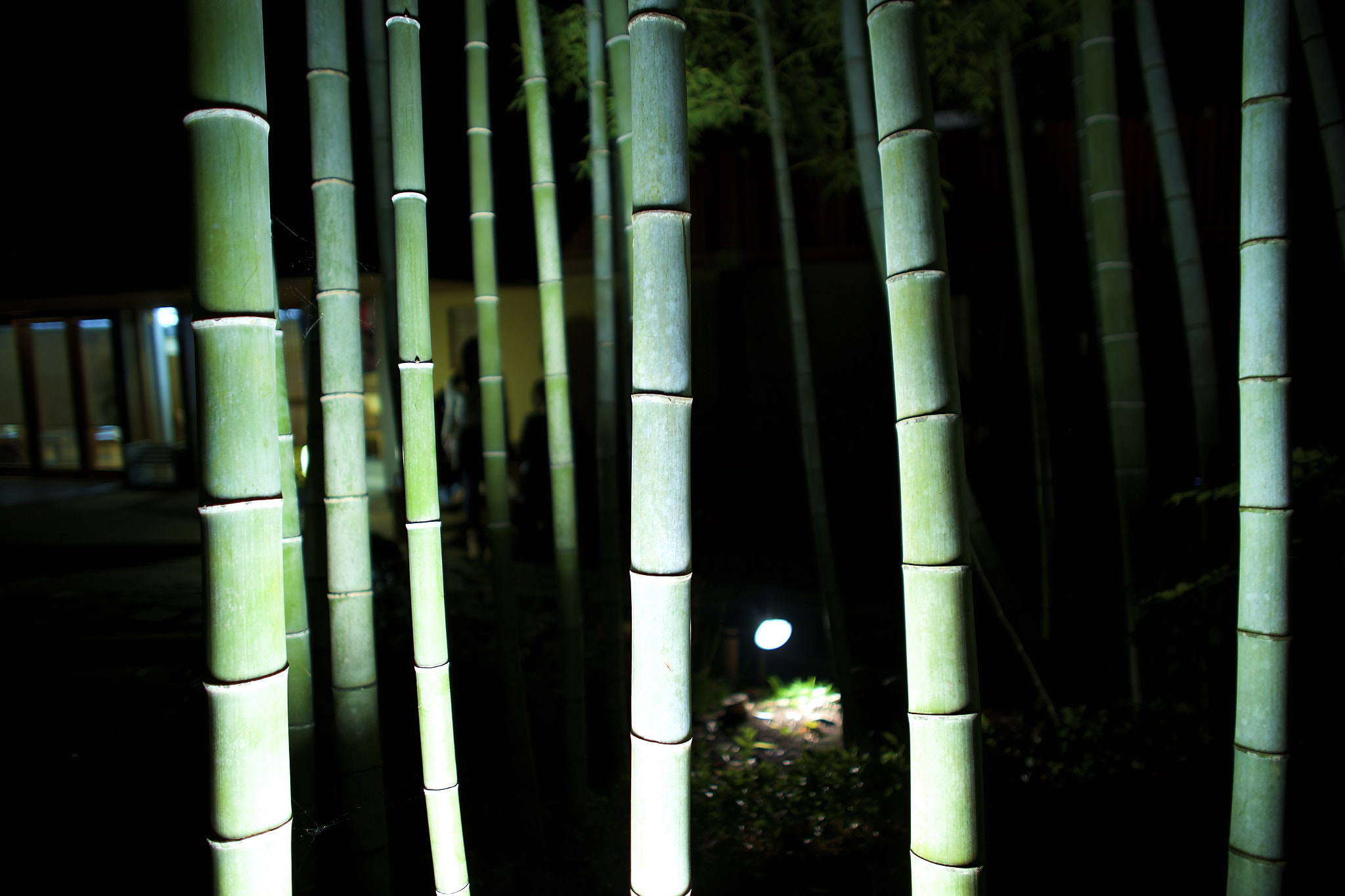 Canon EOS 6D + Canon EF 24mm f/1.4L sample photo. Hase temple and sankeien park photography