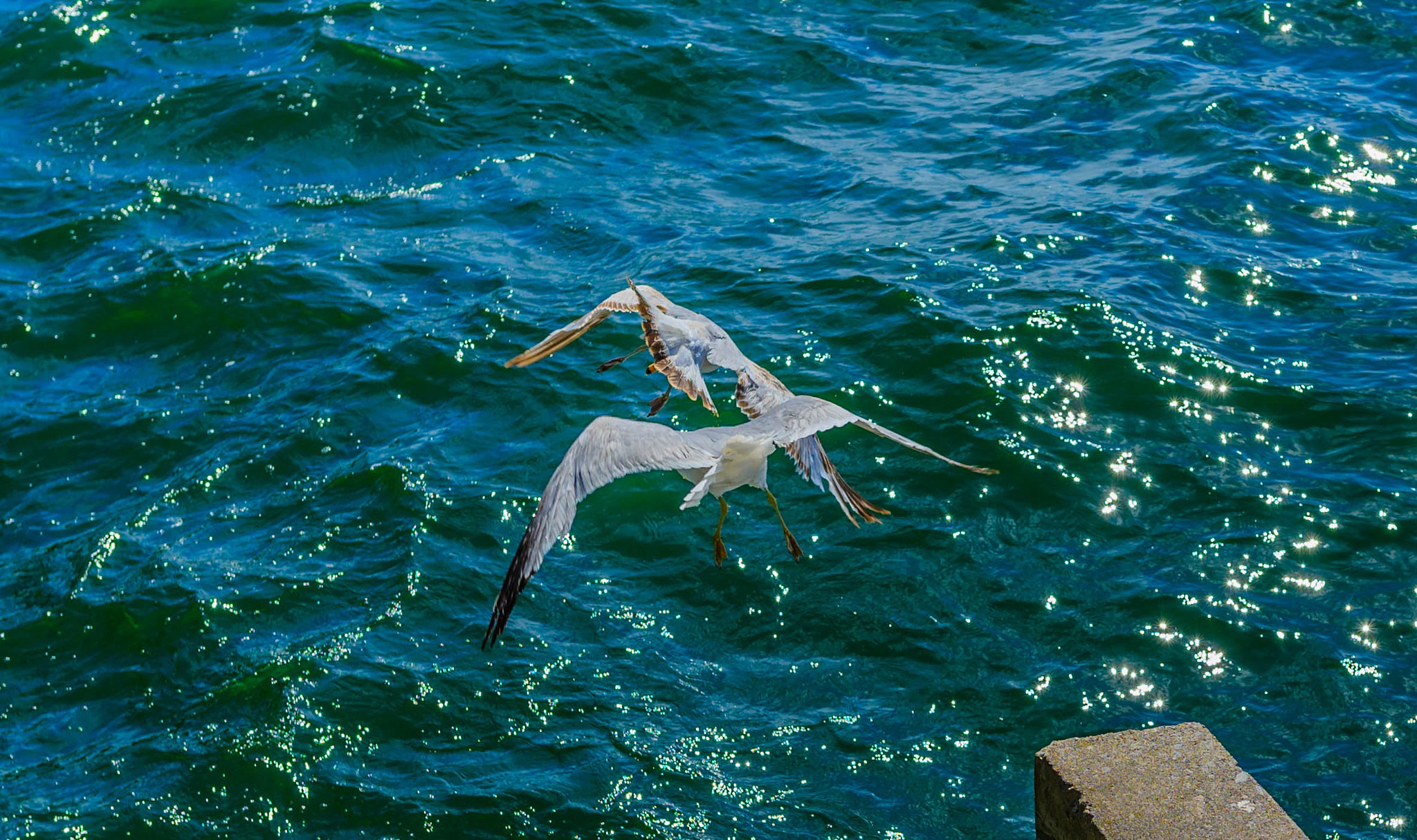 Nikon D610 + Nikon AF-S Nikkor 24mm F1.8G ED sample photo. Come fly with me!!! what a great day to just fly away photography