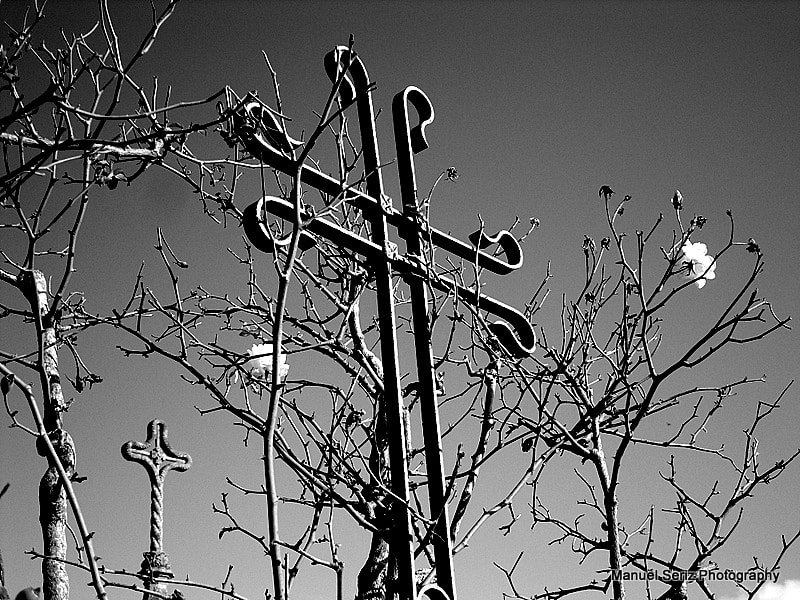 Samsung PL70 / VLUU PL70 /  SL720 sample photo. <samsung digital camera> photography