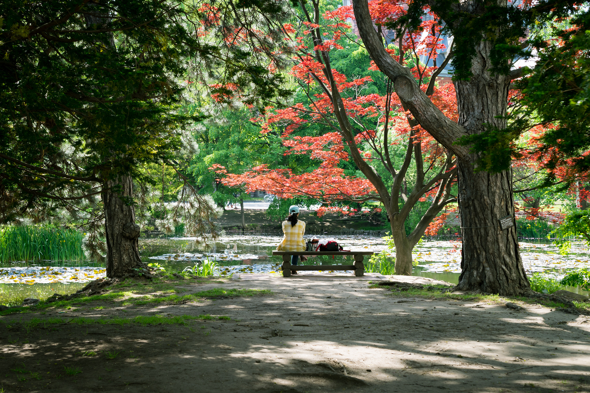 Nikon D5300 + Sigma 35mm F1.4 DG HSM Art sample photo. Break photography