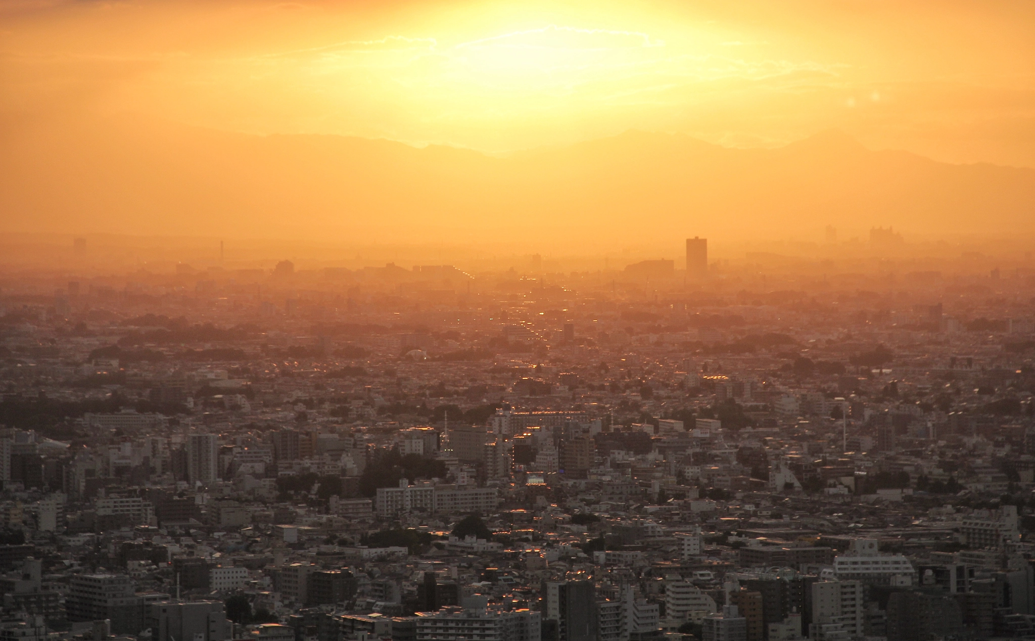 Canon EOS 550D (EOS Rebel T2i / EOS Kiss X4) + Canon EF-S 18-135mm F3.5-5.6 IS sample photo. Tokyo, japan | the bird's eye view of tokyo during sunset photography