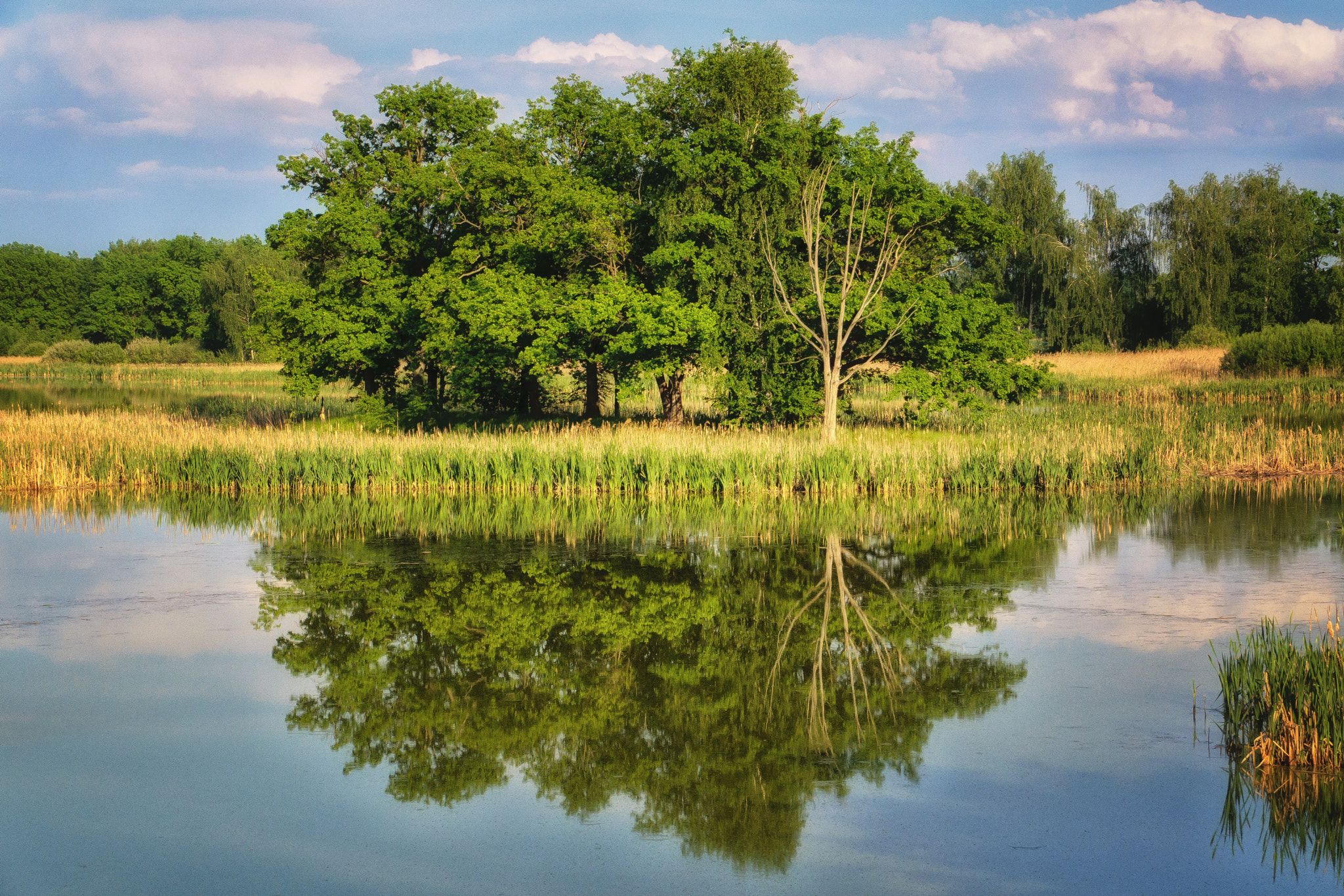 Sigma 18-200mm F3.5-6.3 II DC OS HSM sample photo. Swamp island photography