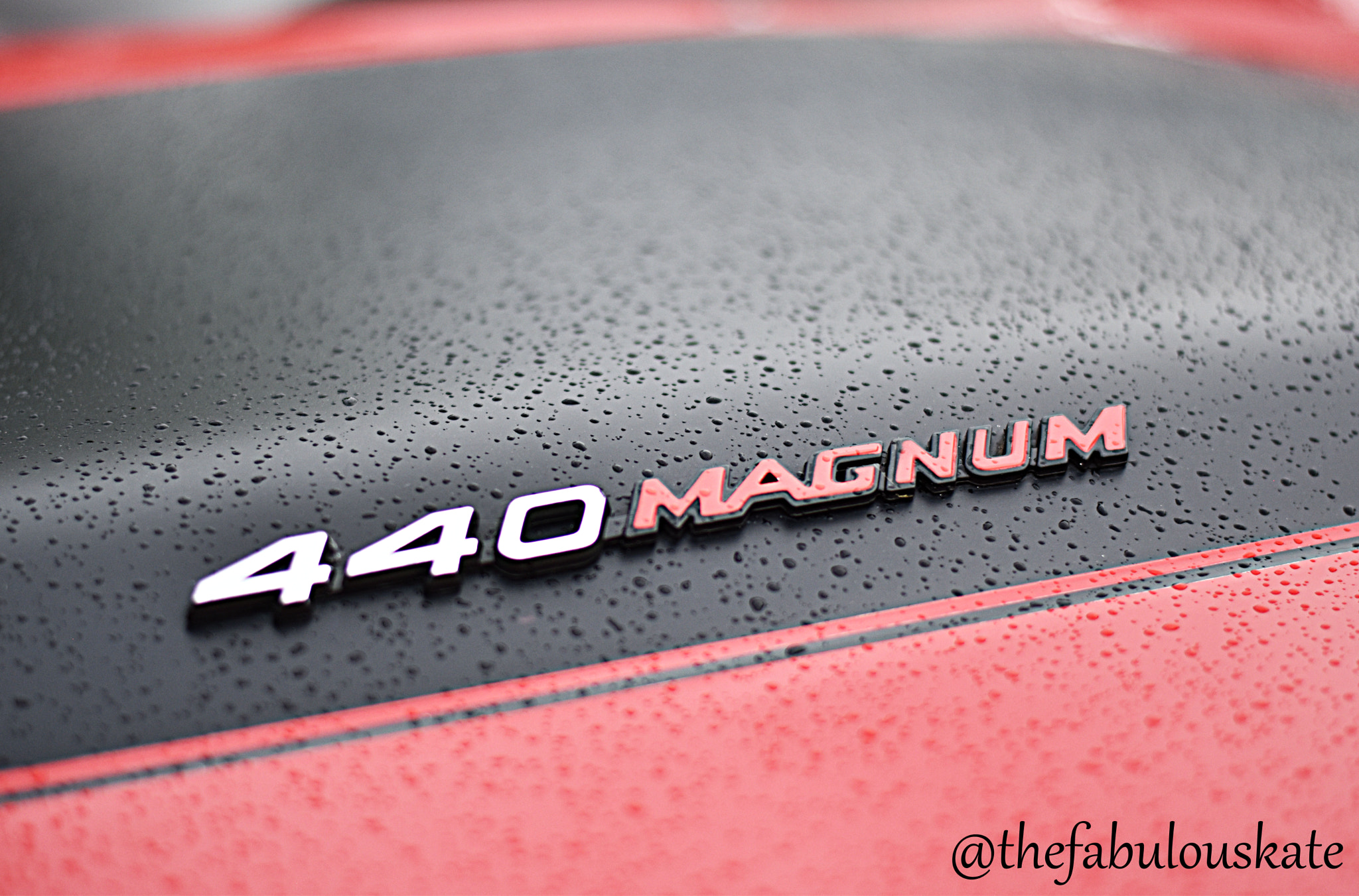 Sigma 50-500mm F4.5-6.3 DG OS HSM sample photo. 440 magnum photography