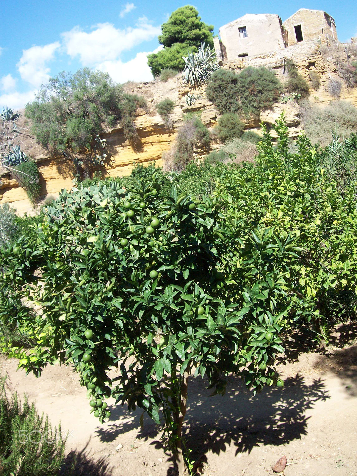 Kodak EASYSHARE C713 ZOOM DIGITAL CAMERA sample photo. Agrigeno, the valley of the temples, sicily photography