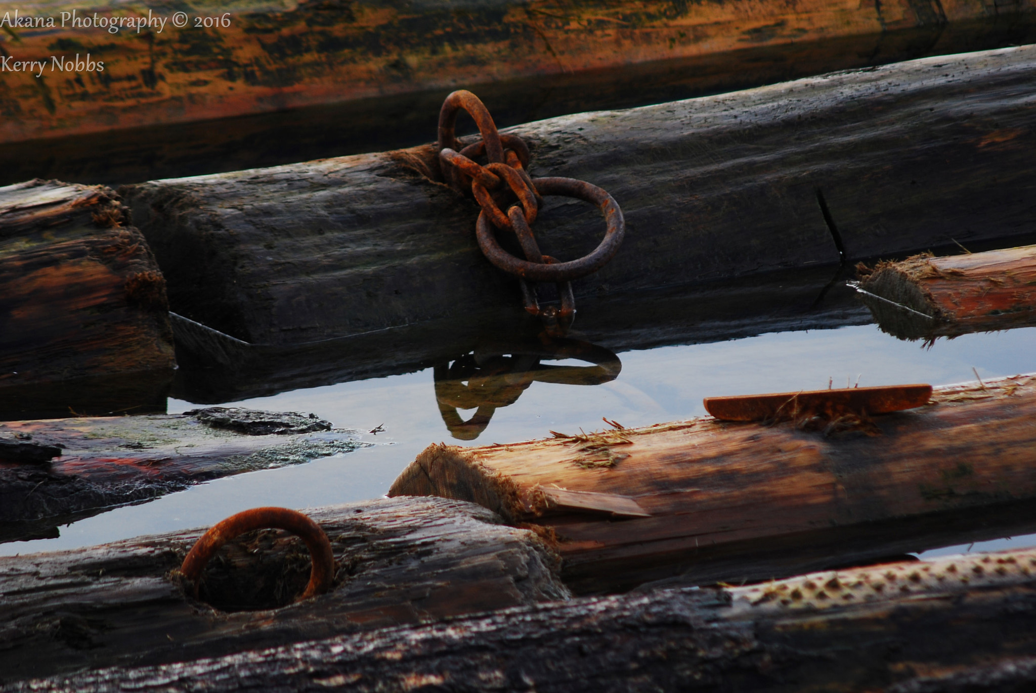 AF Zoom-Nikkor 75-300mm f/4.5-5.6 sample photo. Chained photography