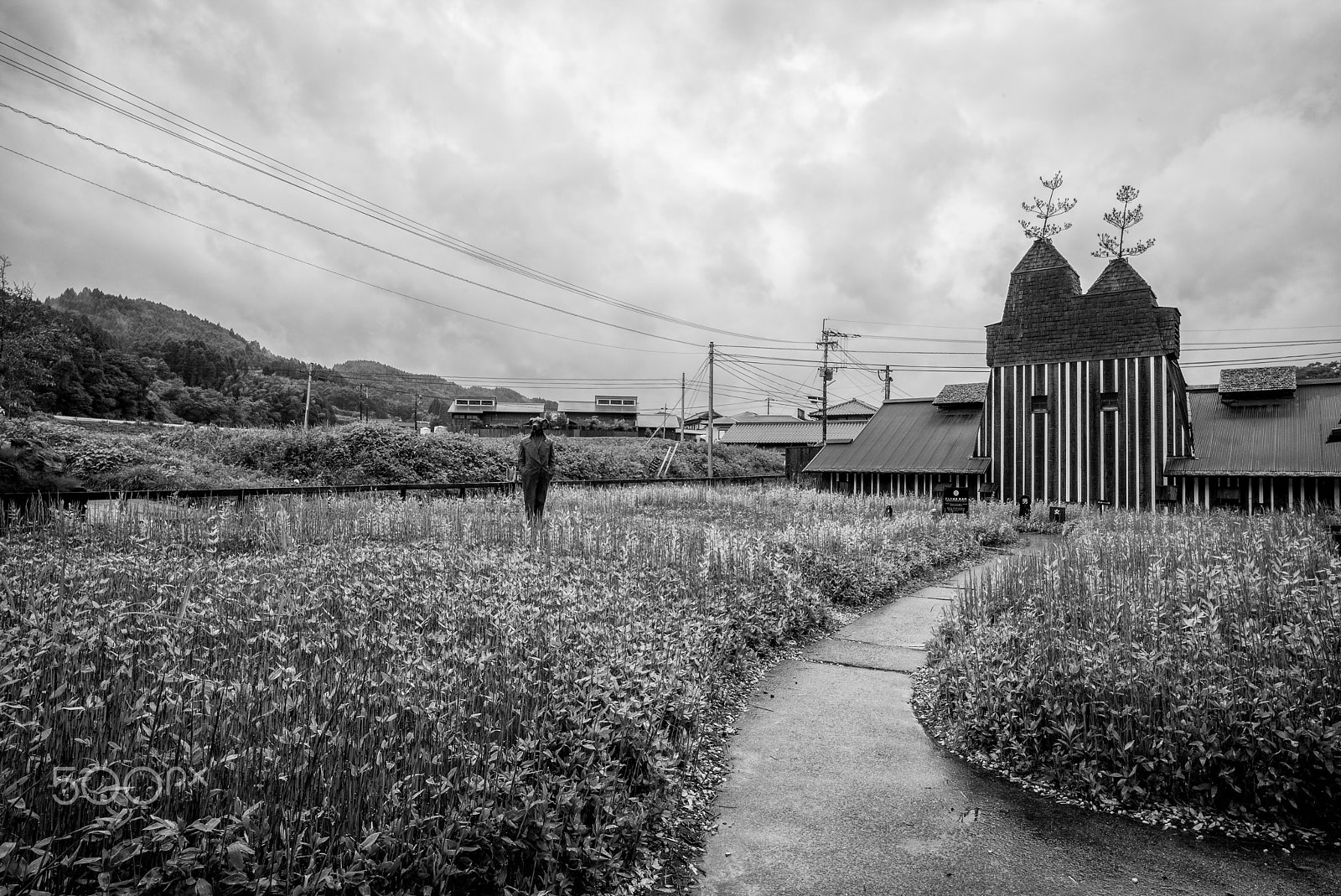 Leica Super-Elmar-M 21mm F3.4 ASPH sample photo. Kyushu soda hot spring "lamune" photography