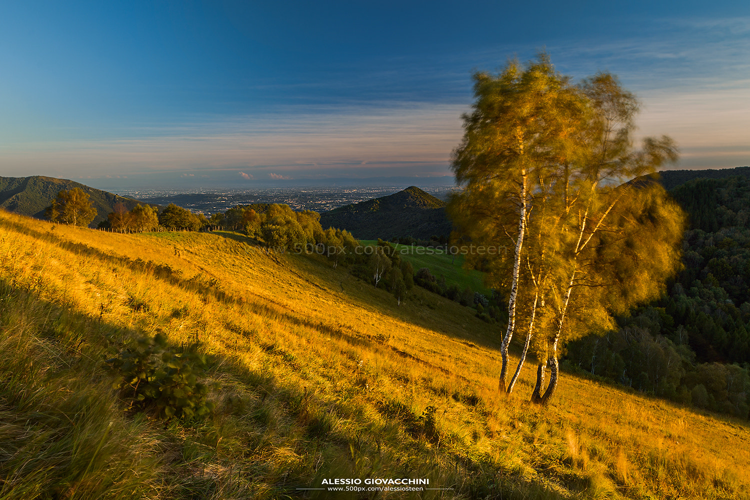 Canon EF 16-35mm F2.8L II USM sample photo. Golden dancing photography
