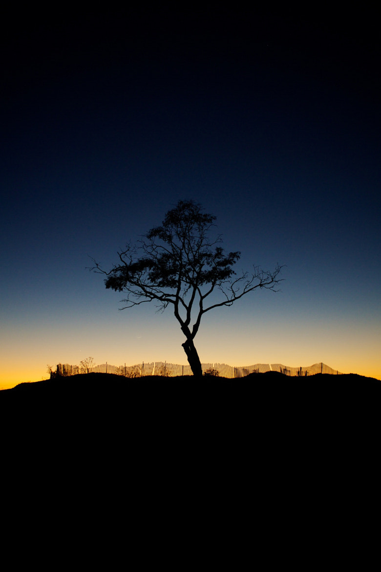 Sony Alpha NEX-7 + Sony Sonnar T* E 24mm F1.8 ZA sample photo. Santa barbara sunset photography