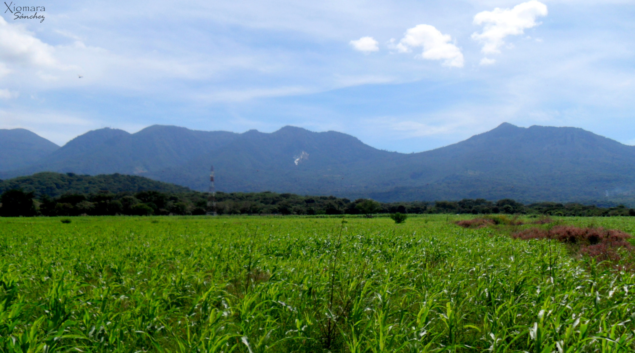 Samsung PL100 /  TL205 / VLUU PL100 /  PL101 sample photo. Someplace photography