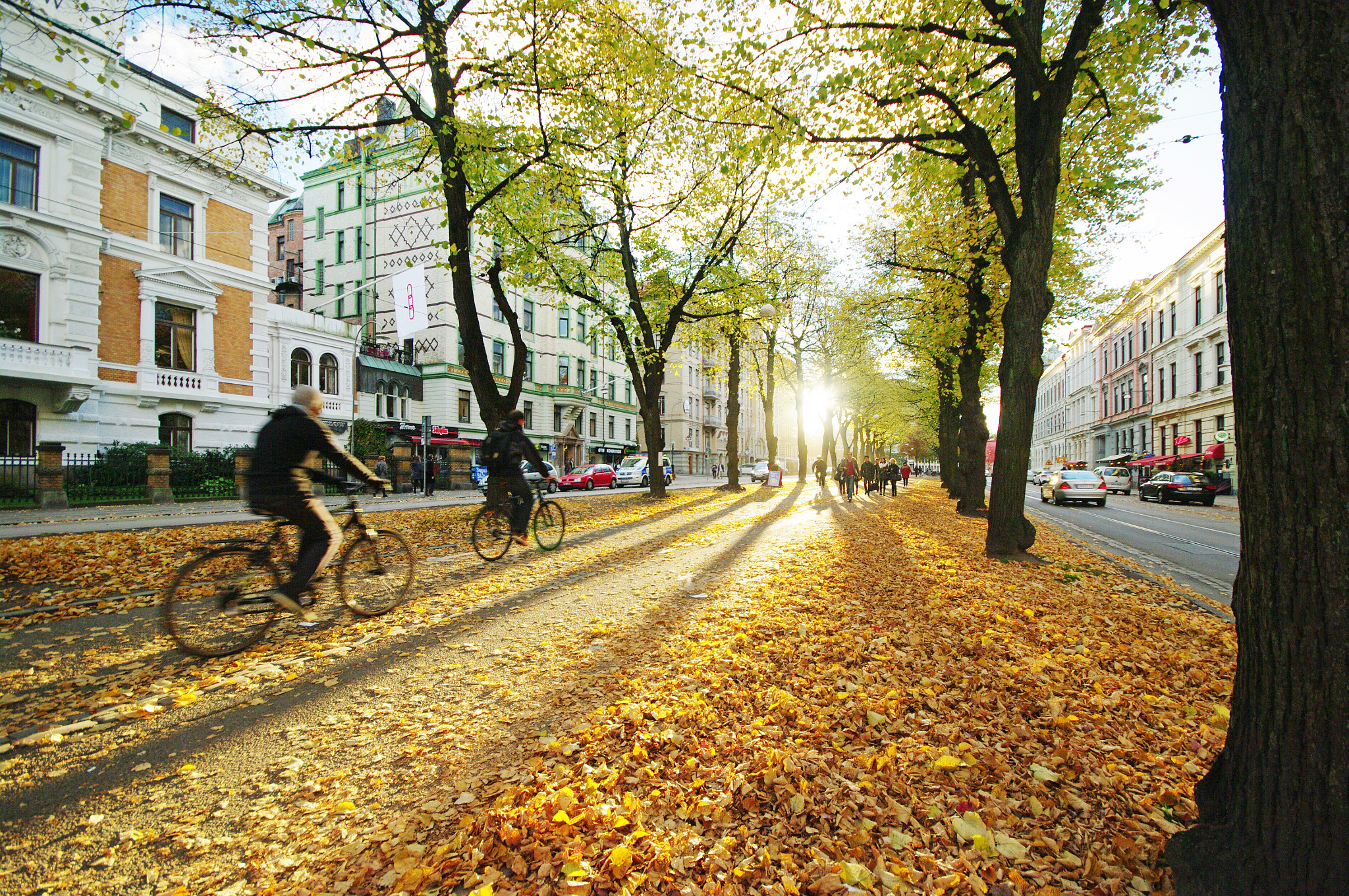 Sigma AF 10-20mm F4-5.6 EX DC sample photo. Gothenburg autumn photography