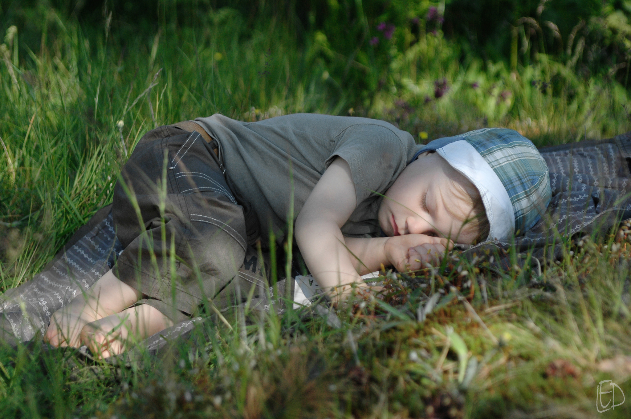 Nikon AF-S Nikkor 28-70mm F2.8 ED-IF sample photo. Sweet dream in the forest photography