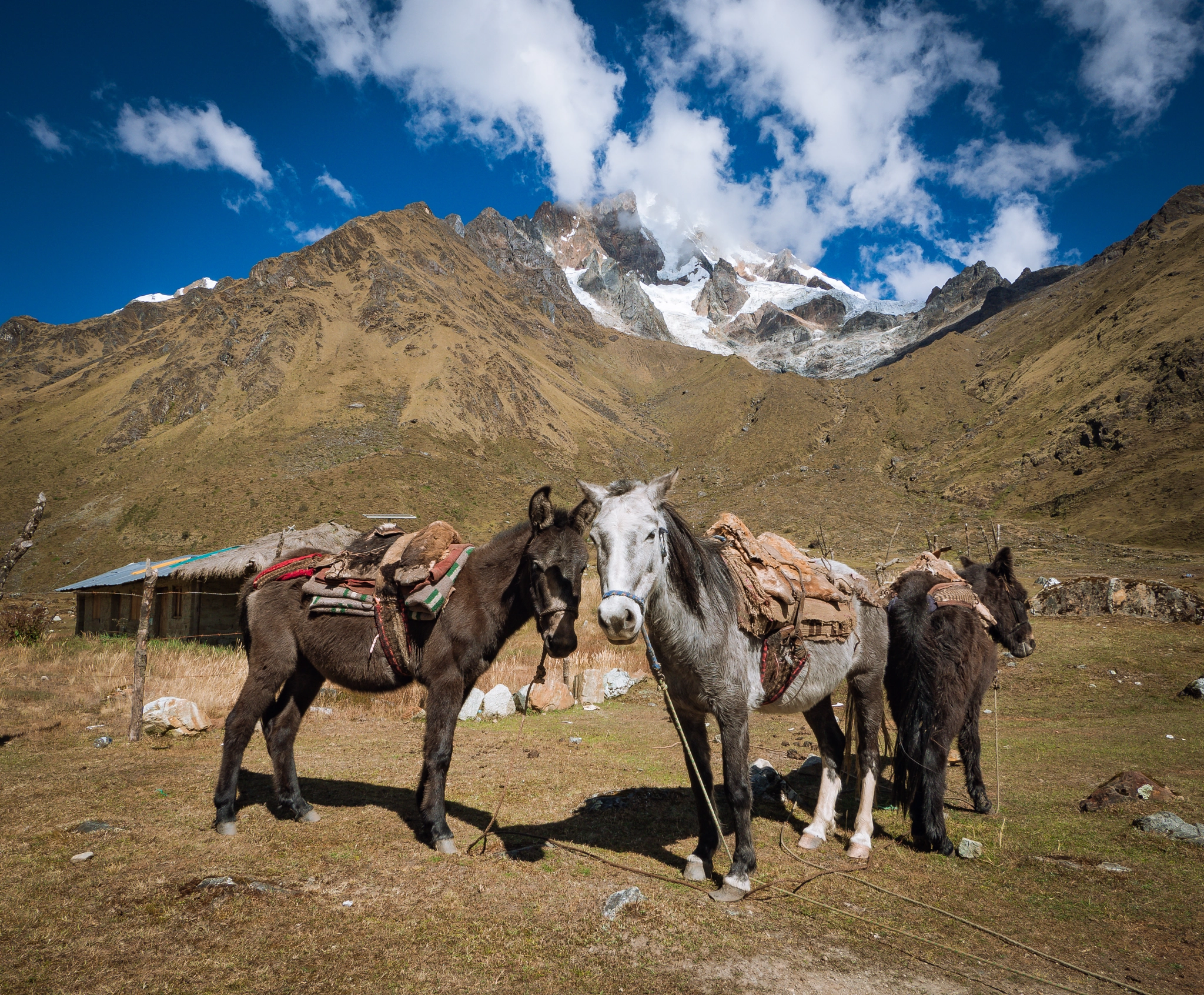 Panasonic Lumix G Vario 7-14mm F4 ASPH sample photo. From the road to machu picchu photography