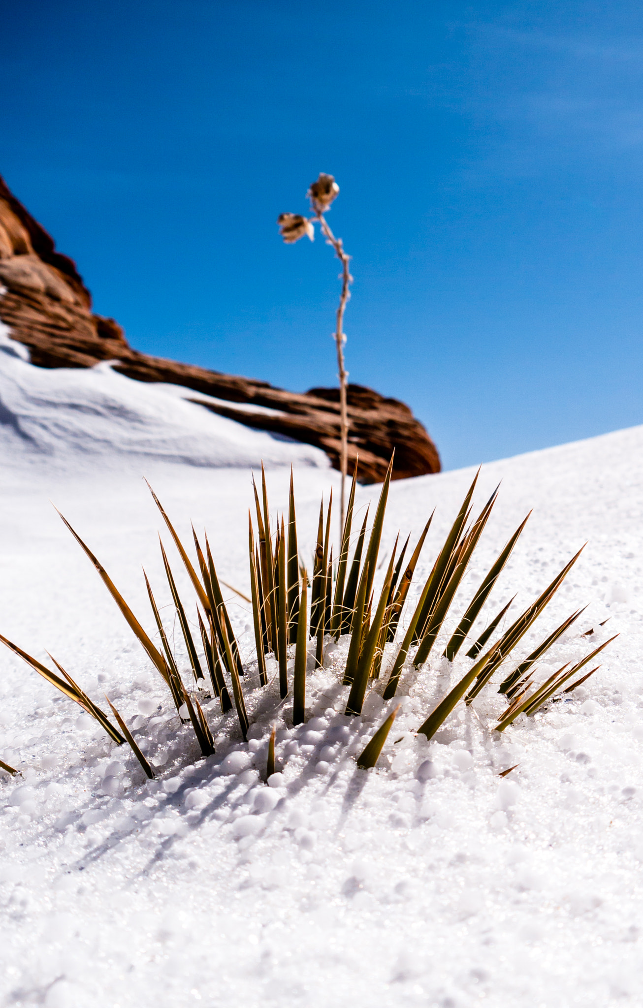 Panasonic Lumix DMC-GH1 sample photo. Desert snow photography