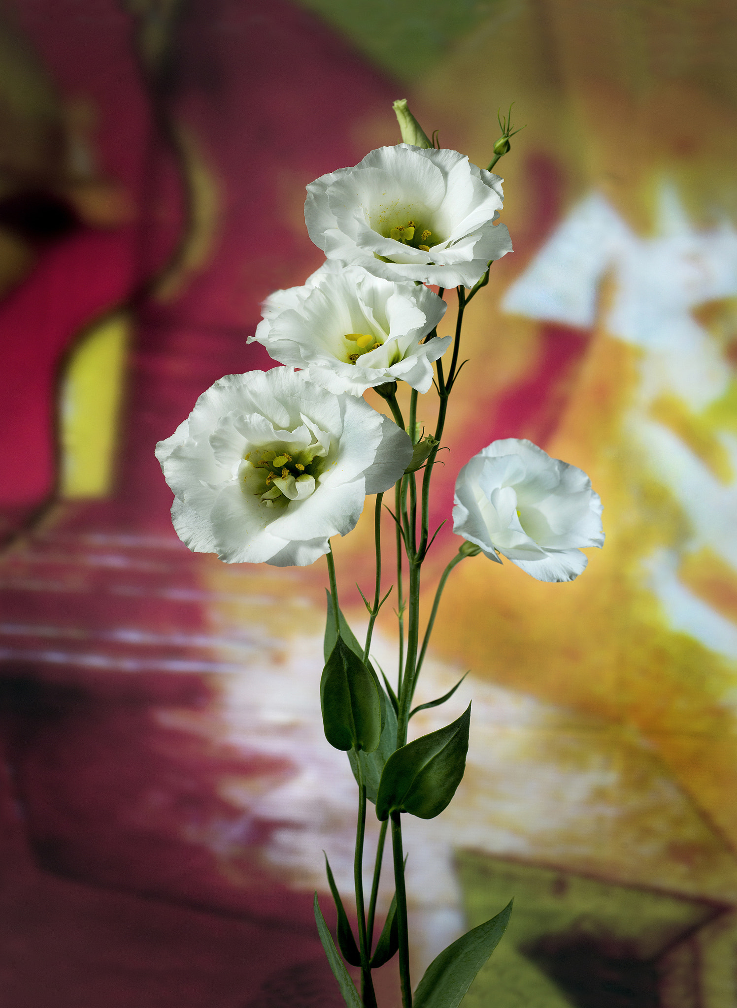 Nikon D800 + PC Micro-Nikkor 85mm f/2.8D sample photo. # photography