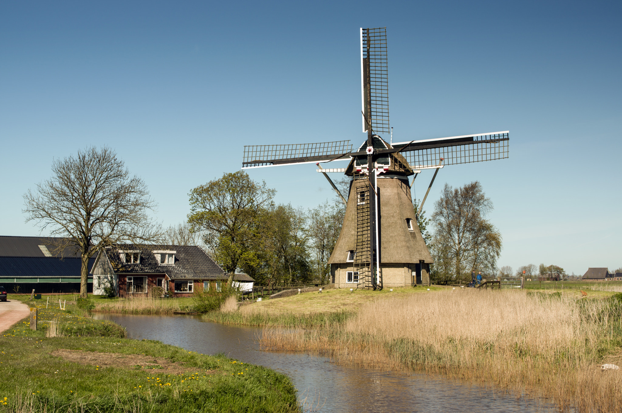 Sigma 70-200mm F2.8 EX DG Macro HSM II sample photo. Molen tochmaland photography
