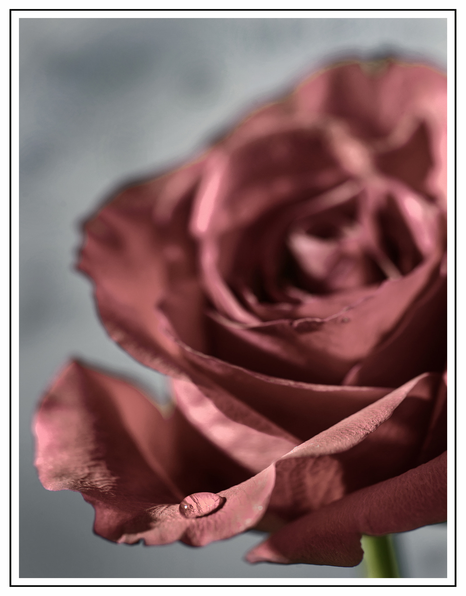 Nikon D800 + PC Micro-Nikkor 85mm f/2.8D sample photo. #d photography
