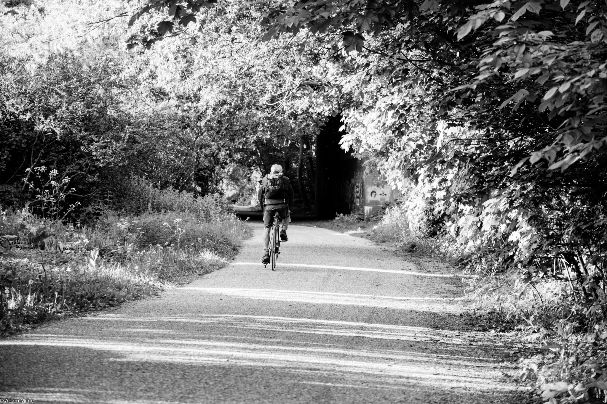 Canon EOS 750D (EOS Rebel T6i / EOS Kiss X8i) sample photo. Cyclist photography