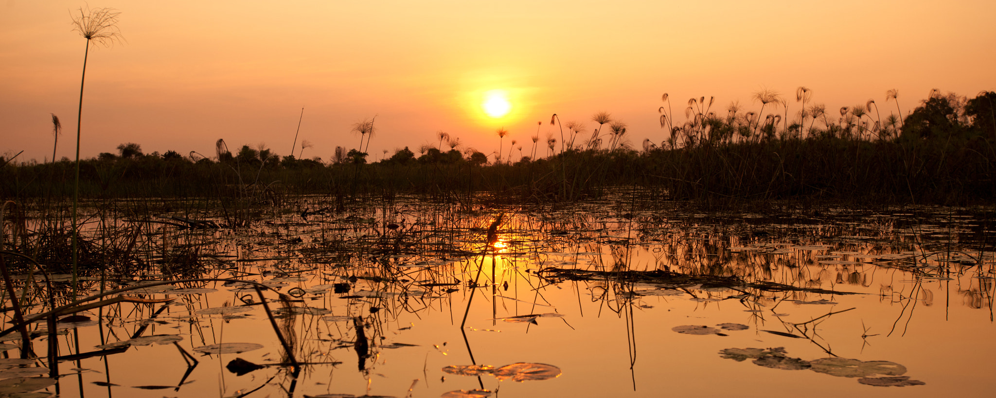 Nikon D3X sample photo. [ dreamriver tales ] photography
