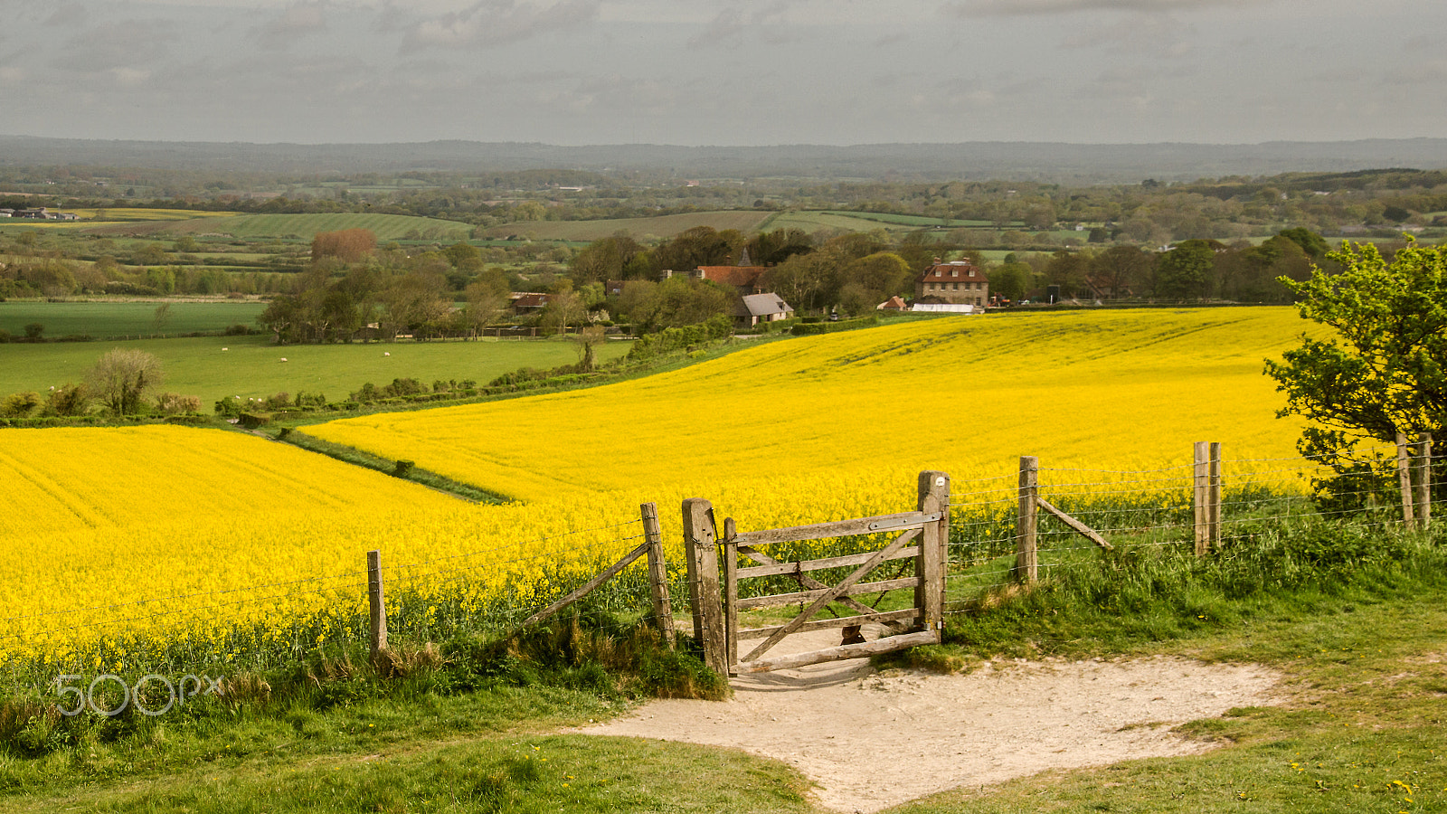 Tamron 18-270mm F3.5-6.3 Di II PZD sample photo. The gateway to golden splendour. photography