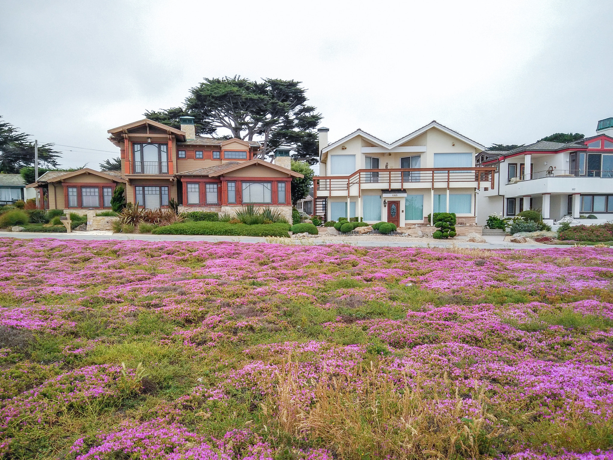 OnePlus ONE E1001 sample photo. 17-mile drive photography