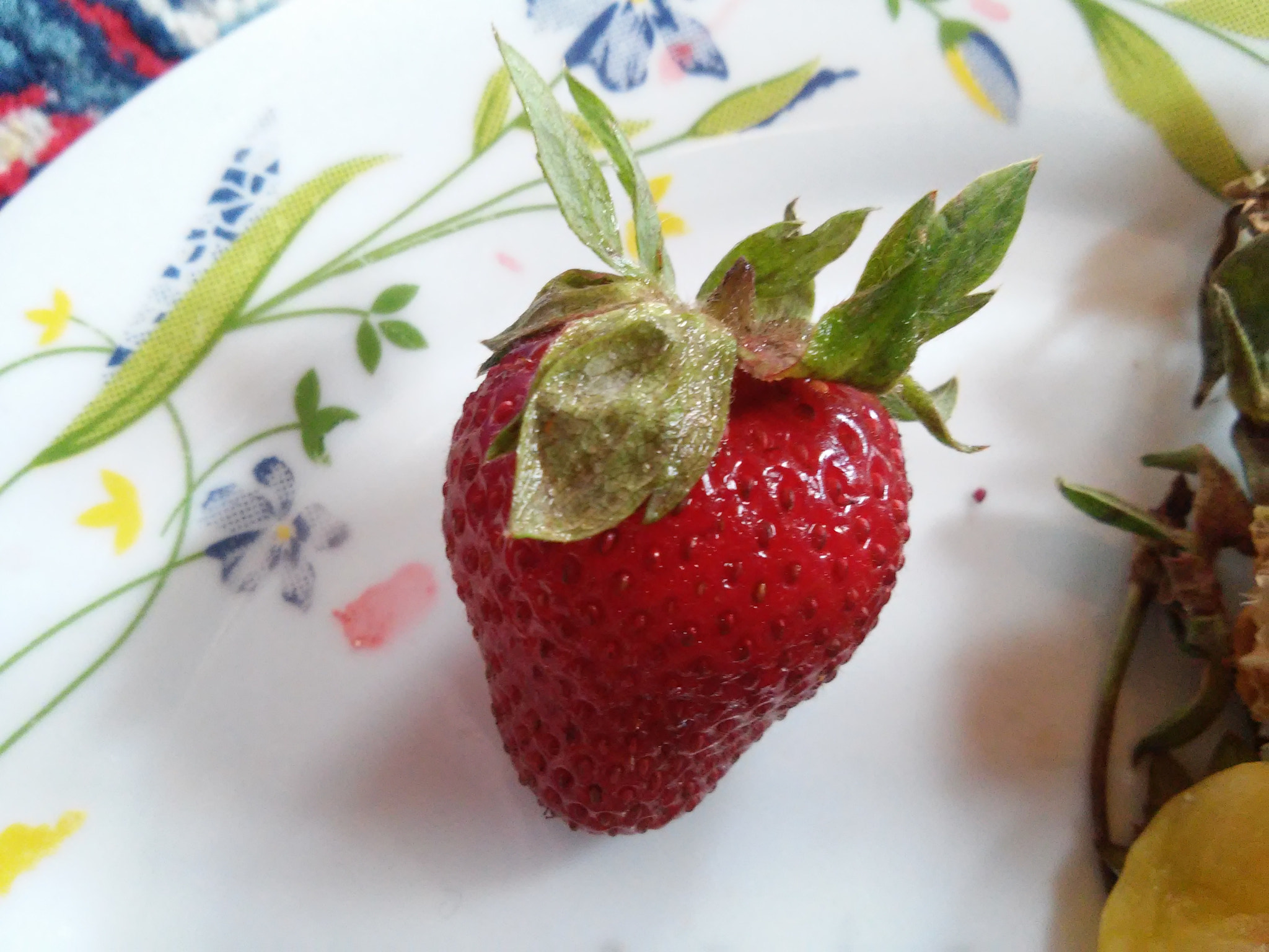 LG L90 sample photo. 1 photography