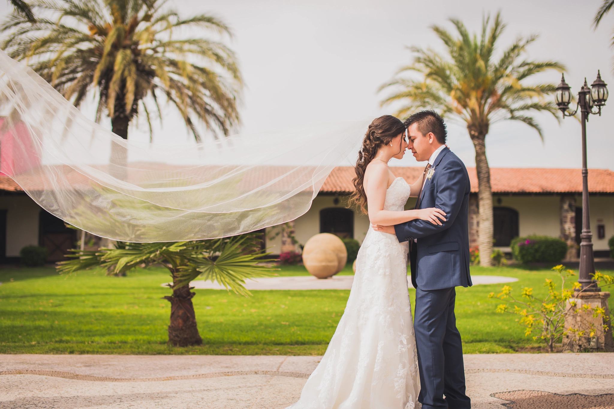 Nikon D610 + Sigma 50mm F1.4 EX DG HSM sample photo. Alejandra & david la siembra full photography